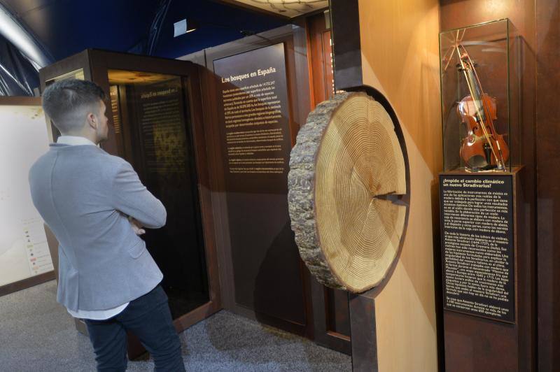 Exposición de La Caixa sobre los bosques