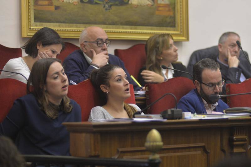 Las imágenes del pleno del Ayuntamiento de Elche