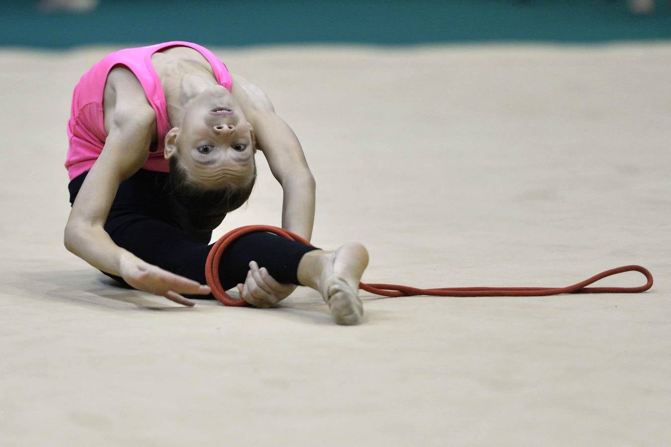 El espectáculo de la rítmica llega al Palacio