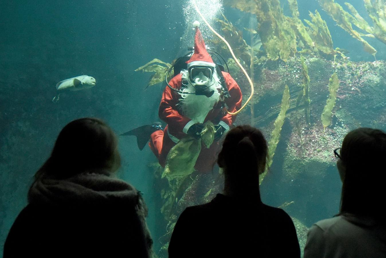 Un Papá Noel que da de comer a los peces