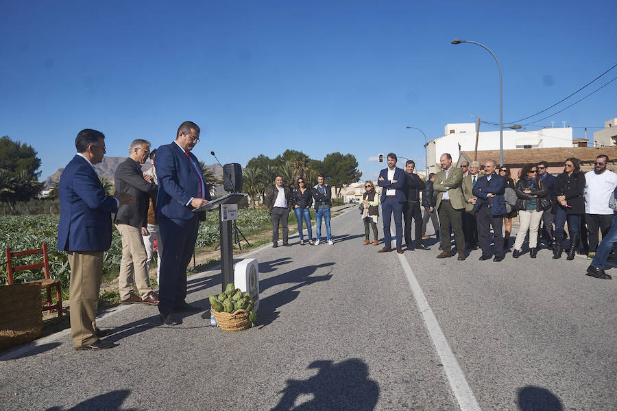 La estabilidad del precio de la alcachofa favorece su cultivo