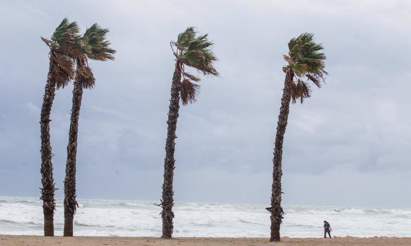 El temporal en la ciudad de Alicante. 