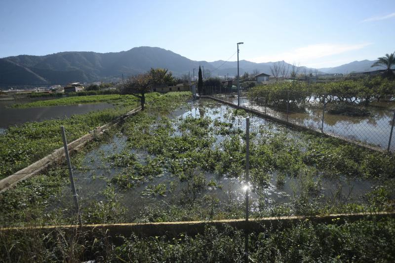 El rastro del temporal en la huerta de Torreagüera