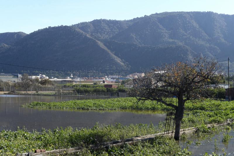 El rastro del temporal en la huerta de Torreagüera