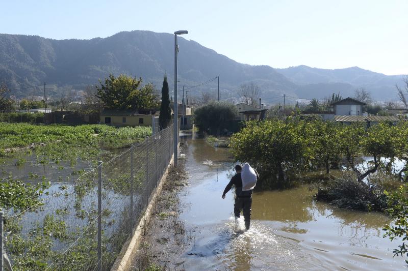 El rastro del temporal en la huerta de Torreagüera