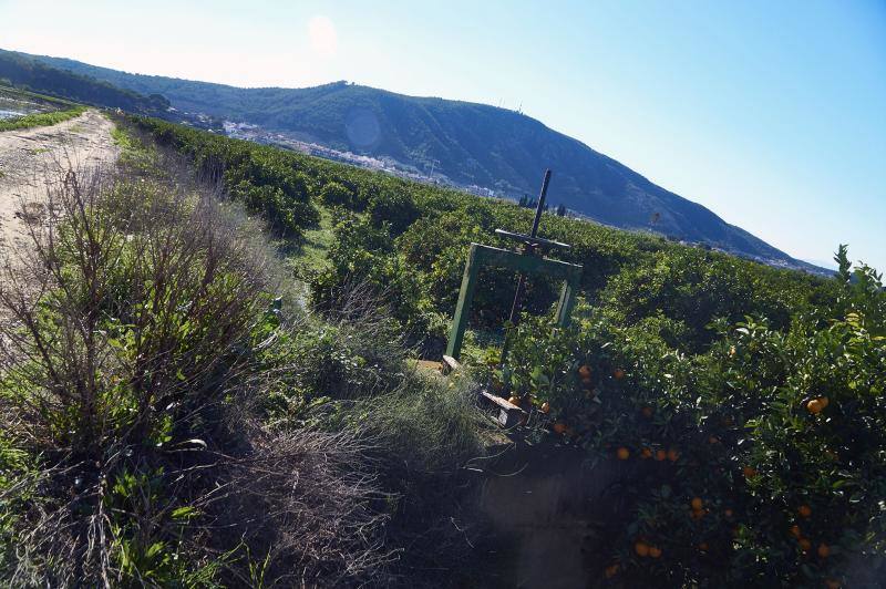 Vecinos muestran los daños del temporal en Molins