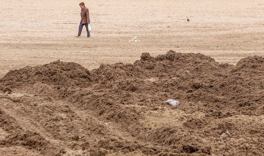 Las playas siguen llenas de algas dos semanas después del temporal