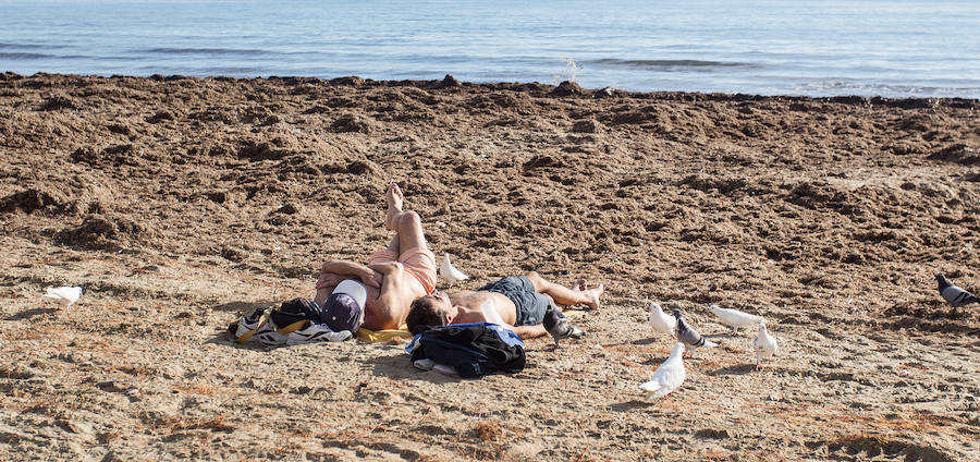 Las playas siguen llenas de algas dos semanas después del temporal