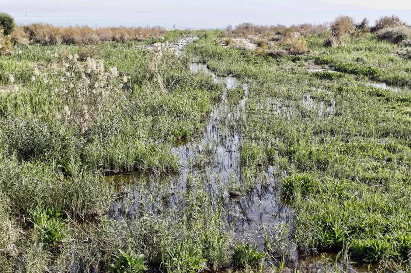 Desembocadura del río Seco en El Campello