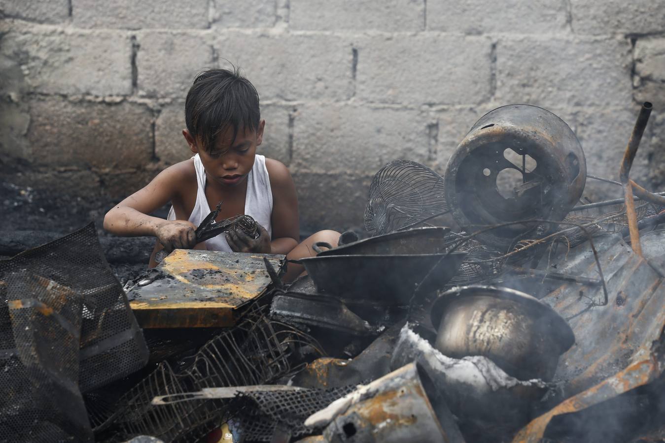 Buscando entre las cenizas