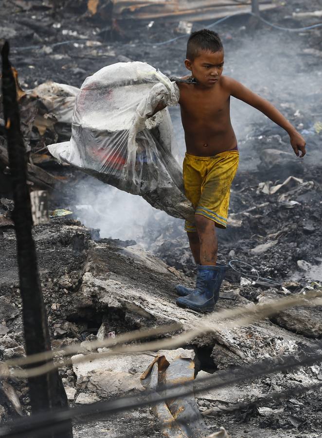 Buscando entre las cenizas