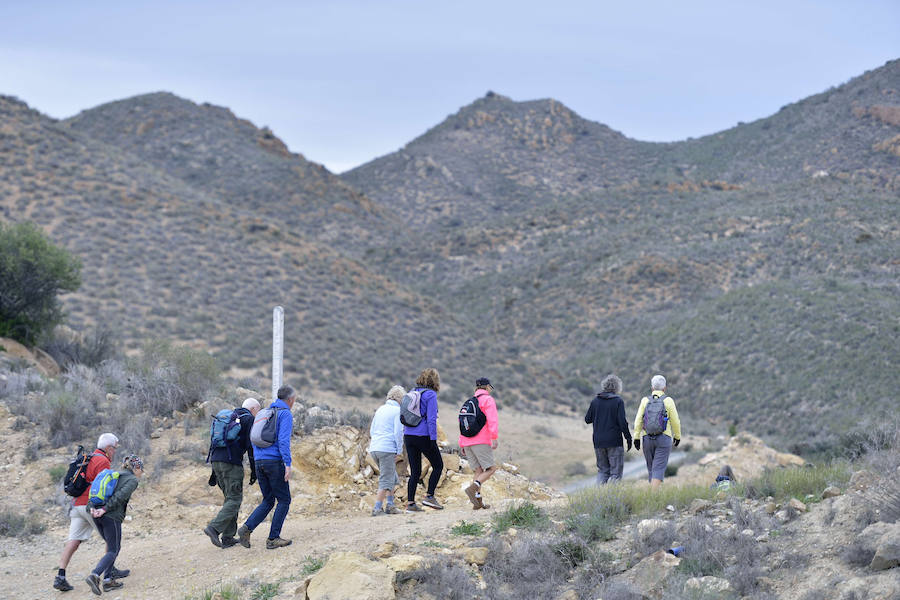 La Fiesta del Rebuzno