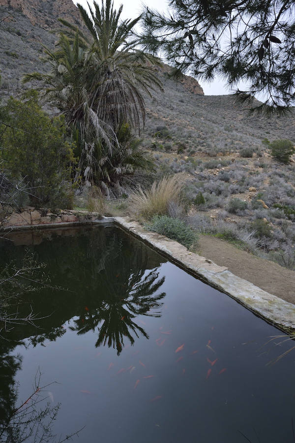 La Fiesta del Rebuzno