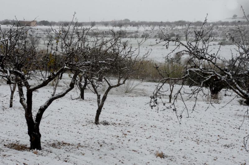 Los copos de nieve le cambian la cara a Cartagena