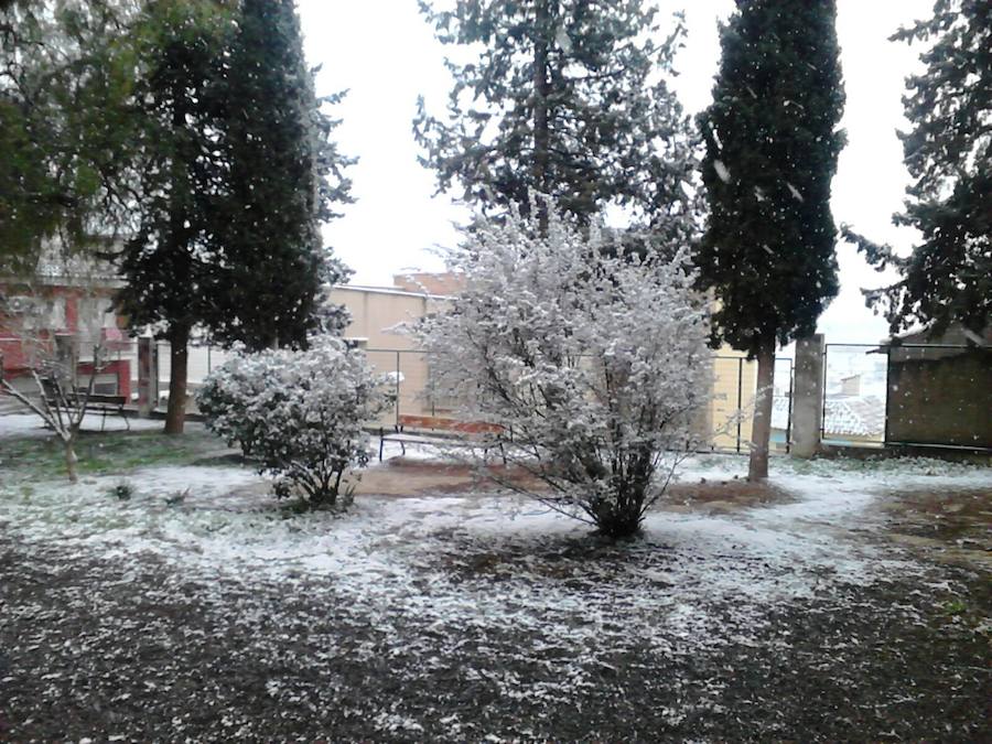 IES Vega del Argos de Cehegín nevado.