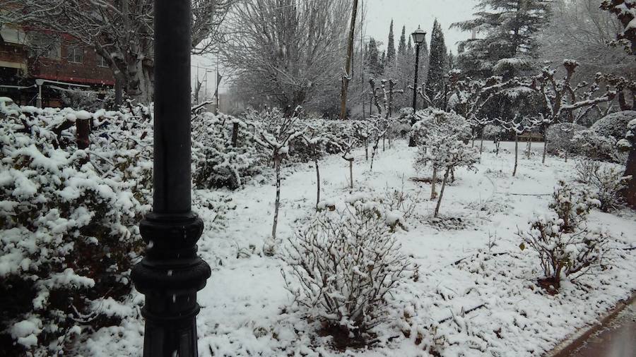 Imagen de un parque de Cehegín completamente nevado.