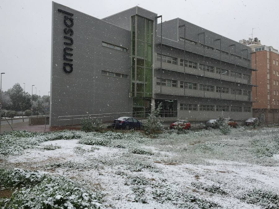 Jardín de Ronda Sur de Murcia de color blanco.