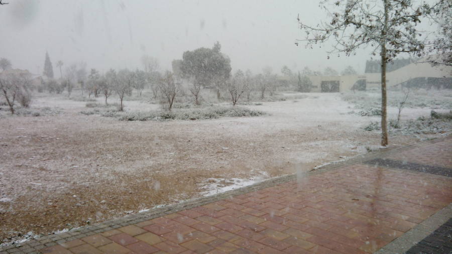 Nieve en Alcantarilla.