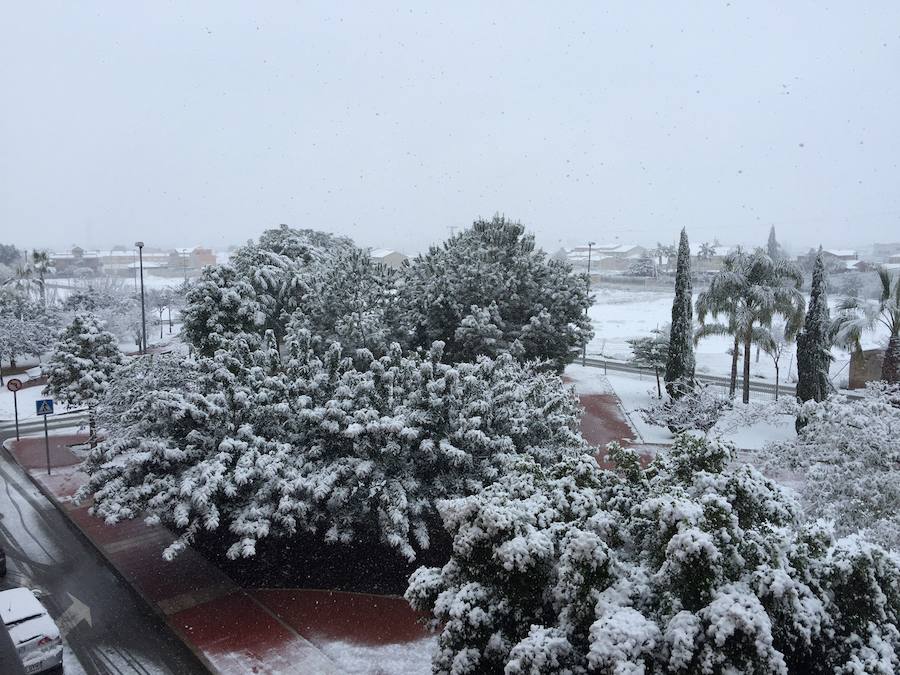 Nevada en Sangonera la Verde.