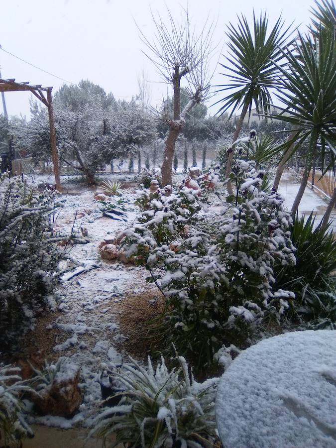 Jardín de una casa de Librilla teñido de blanco.