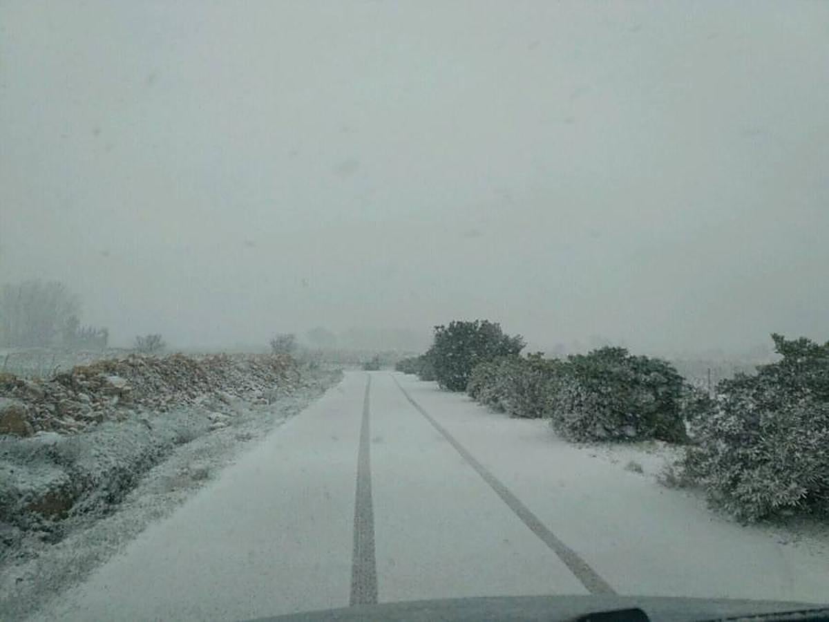 Estado de un camino del paraje de El Carche.