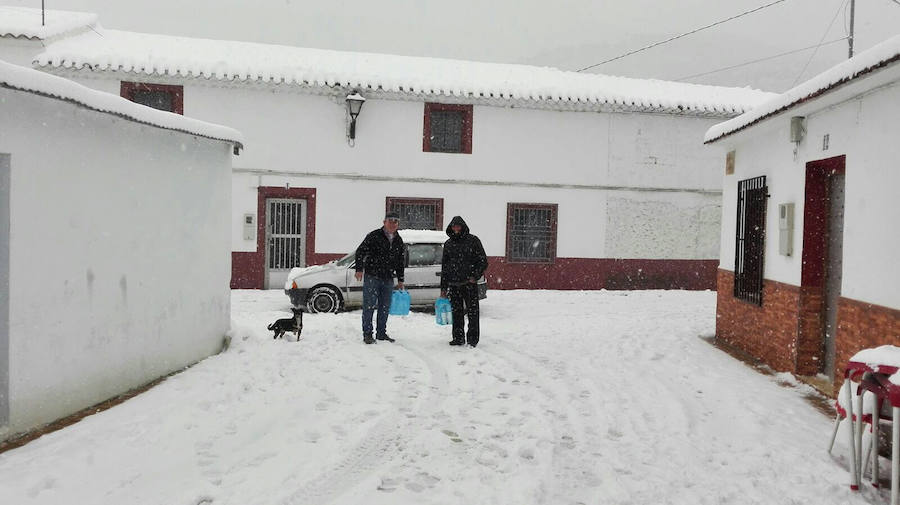 La nieve cubre Moratalla.