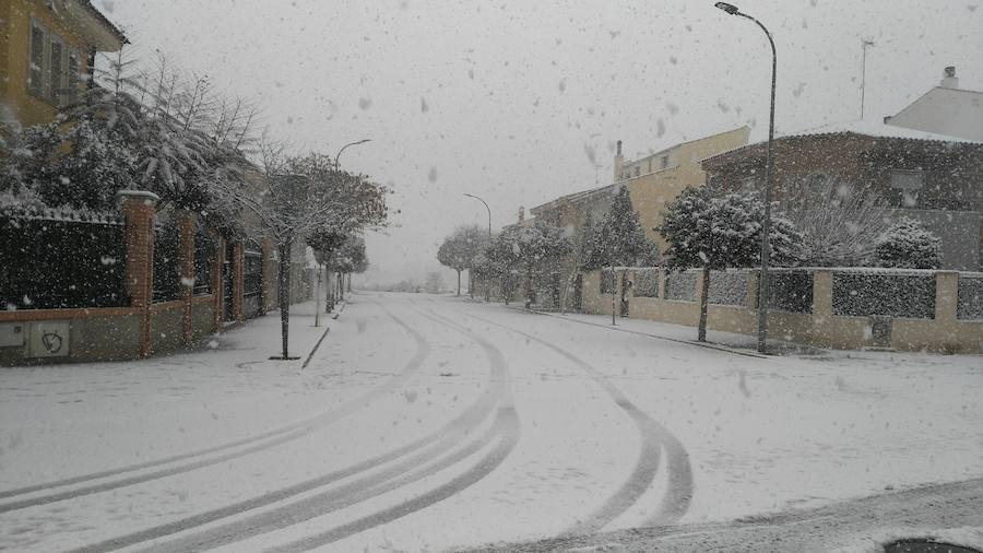 La nieve cubre de blanco Yecla