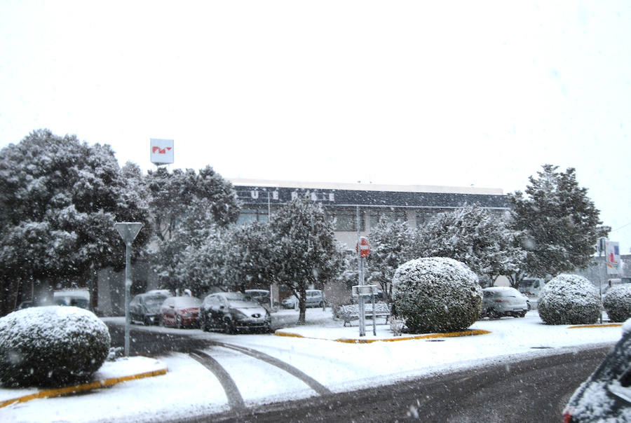 La nieve cubre de blanco Yecla