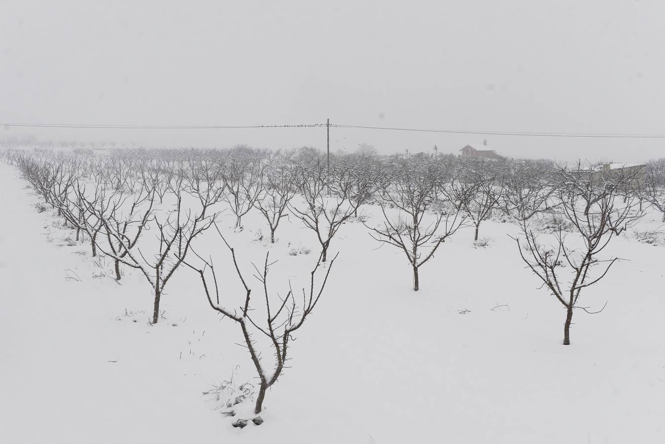 La nieve lleva el caos a las carreteras