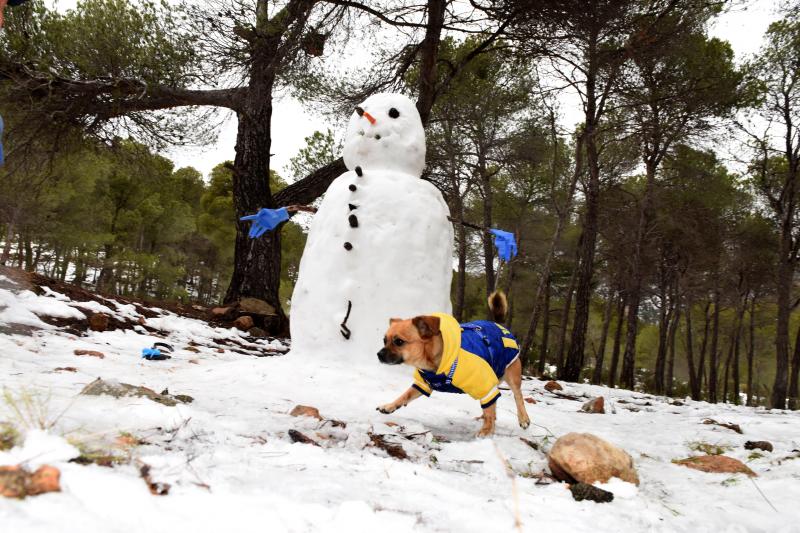 Un perro y un muñeco de nieve en Sierra Espuña.