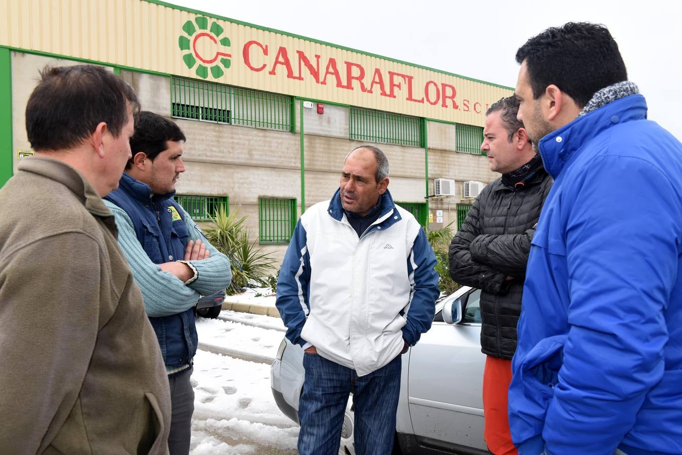 La nieve aplasta 70 invernaderos en Cehegín