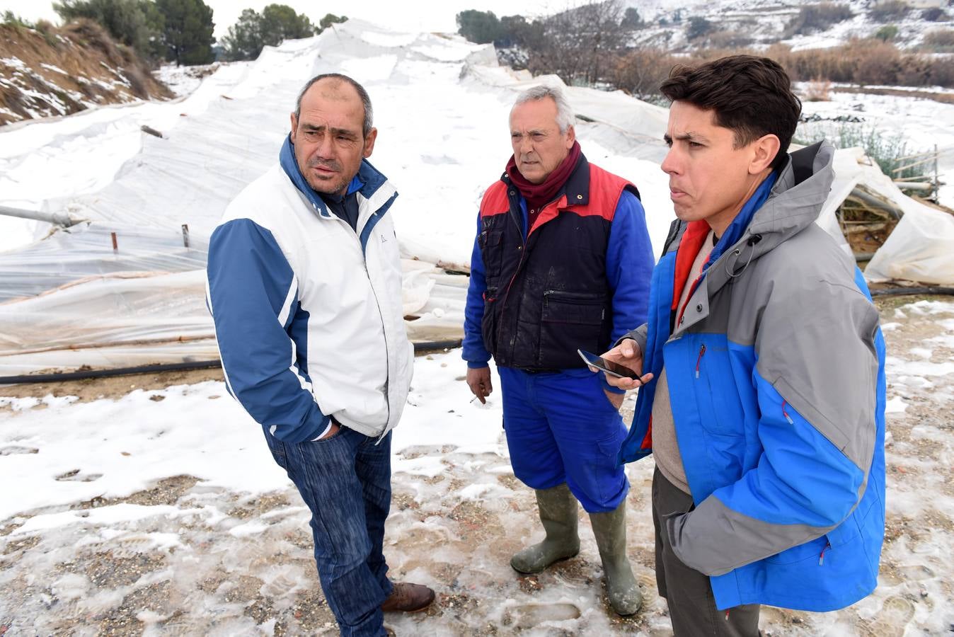 La nieve aplasta 70 invernaderos en Cehegín