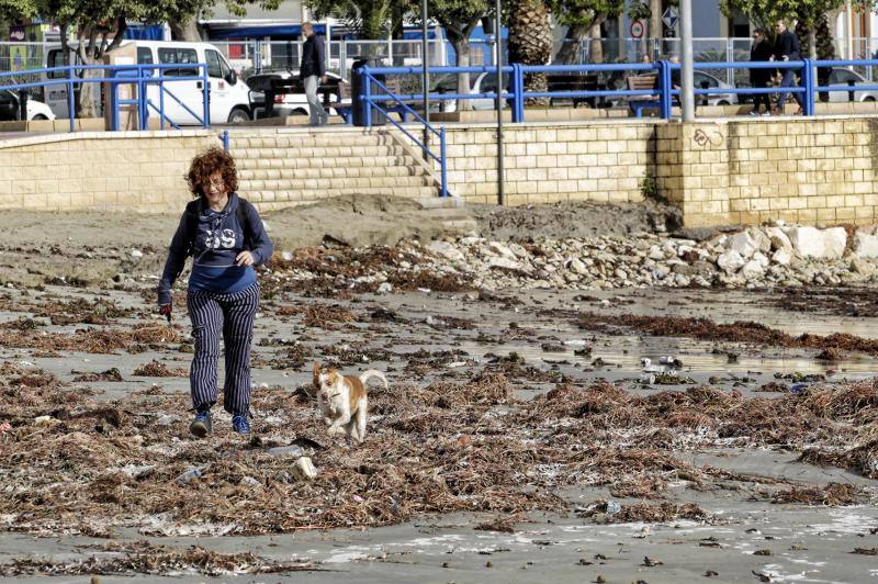 El temporal de viento y lluvia causa destrozos en playas, corta carreteras y desborda cauces