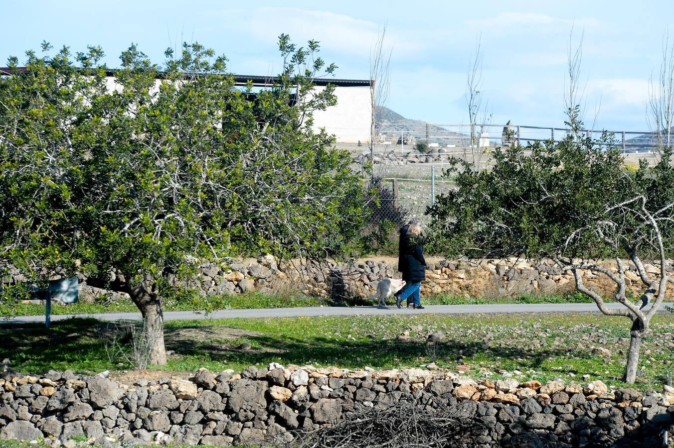 El oeste reverdece con agua y frío