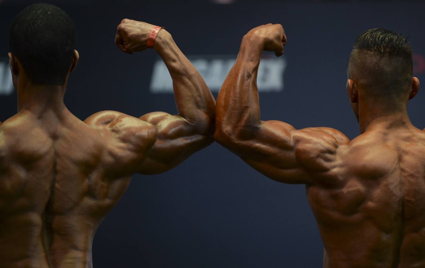 Músculos &#039;amateur&#039;