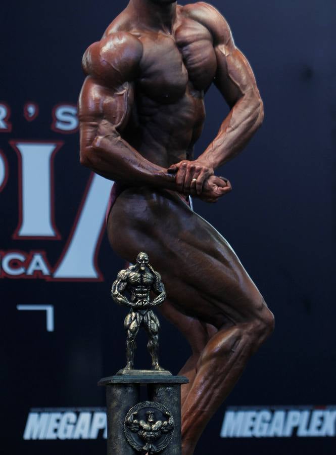 Músculos &#039;amateur&#039;