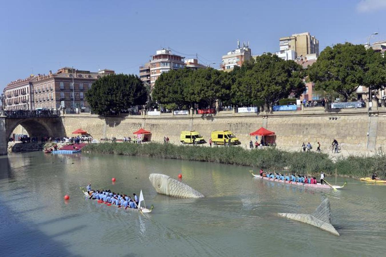 Vuelve al Segura la mejor regata
