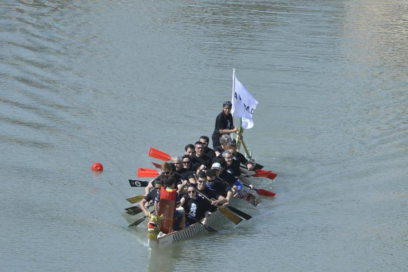 Vuelve al Segura la mejor regata