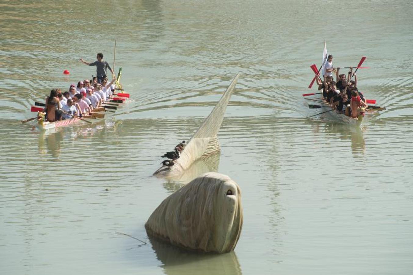 Broche de oro a la II Regata ‘Ciudad de Murcia’