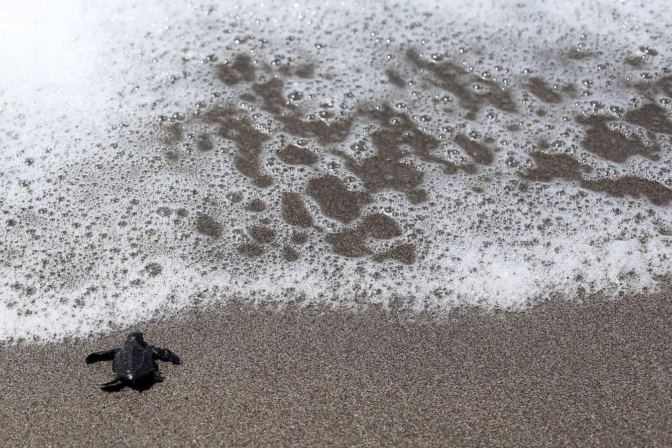 El Día Mundial del Agua sin agua