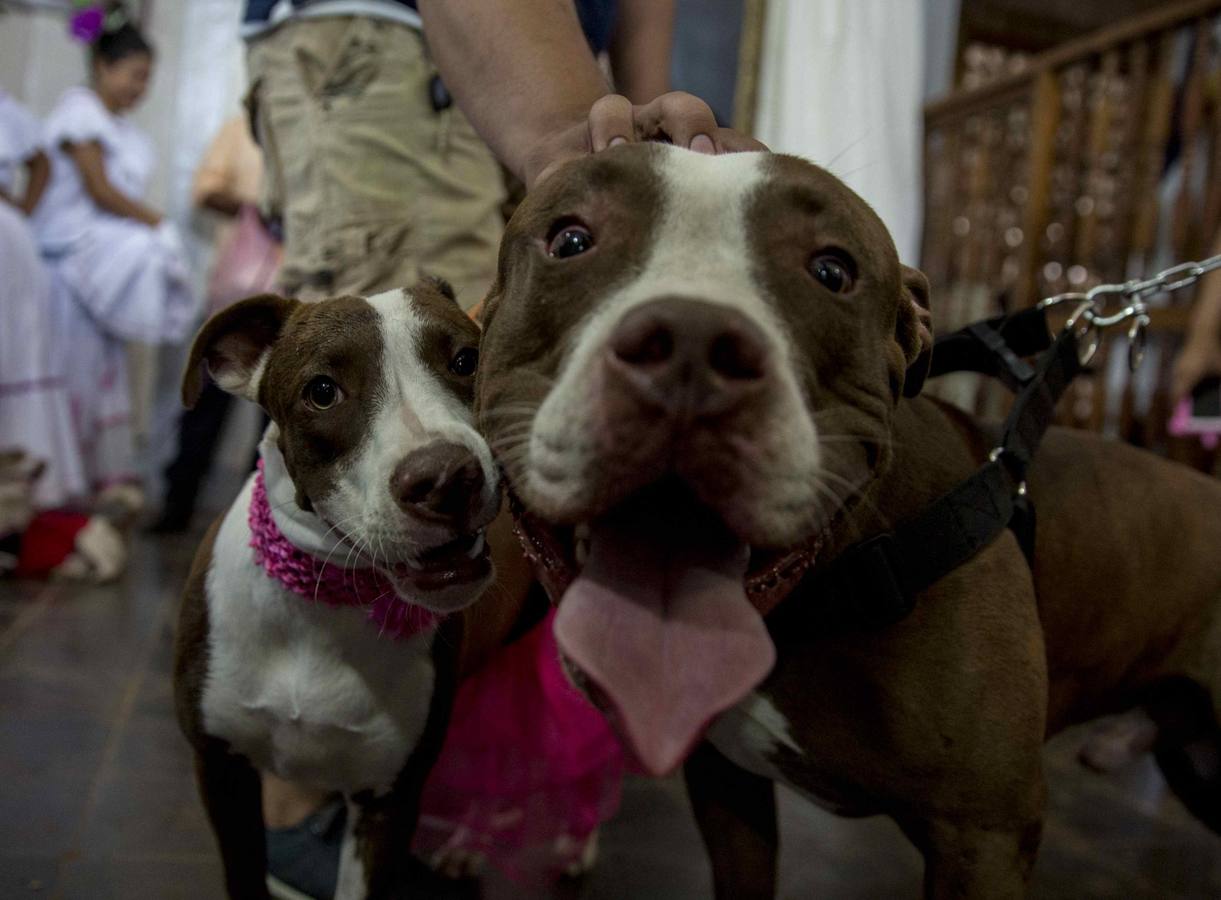 El San Antón nicaragüense