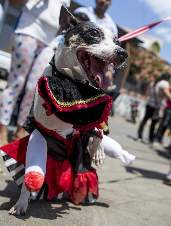 El San Antón nicaragüense