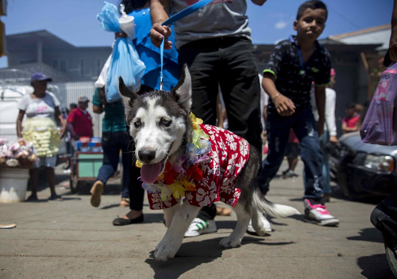 El San Antón nicaragüense