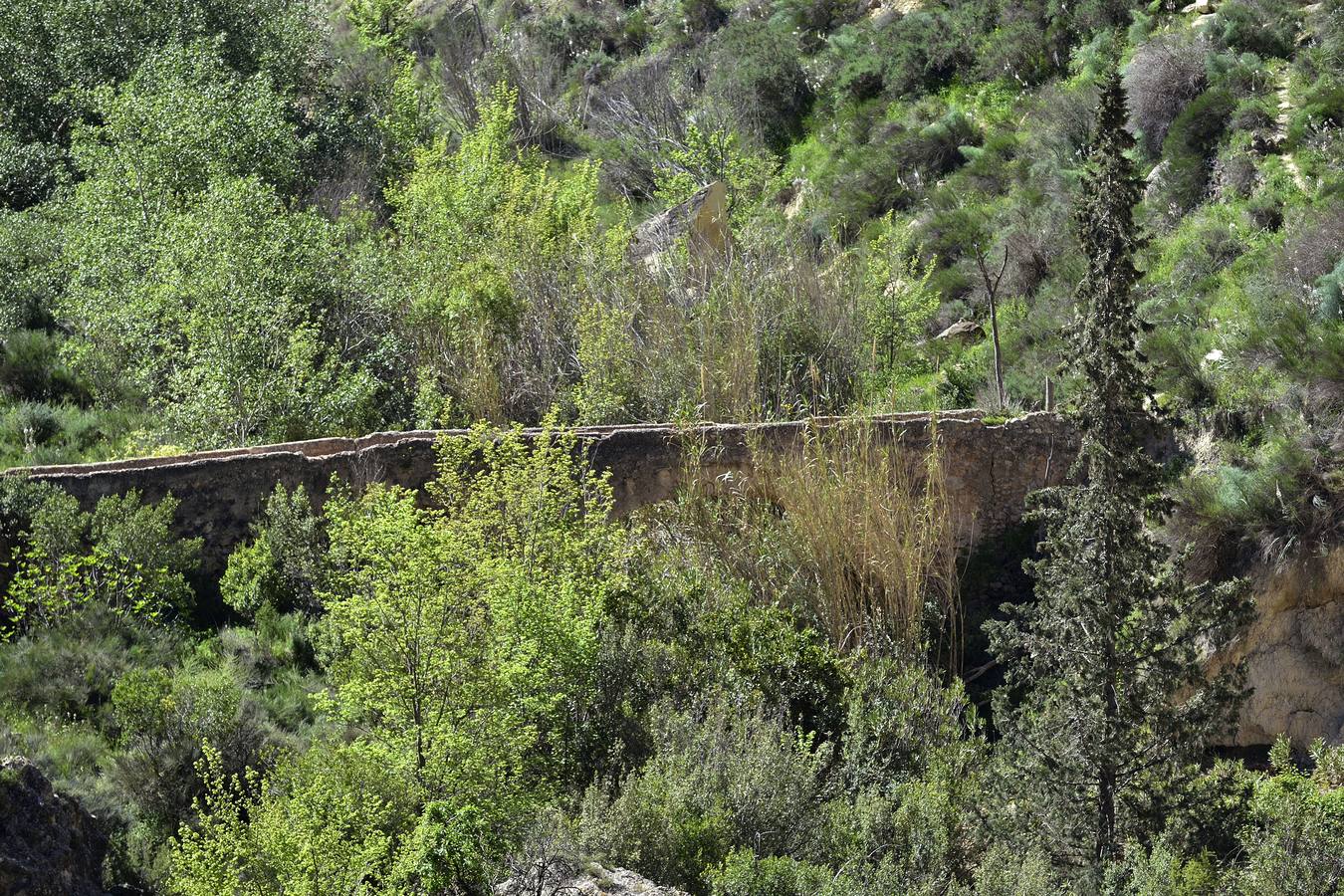 En las playas tropicales de Espuña