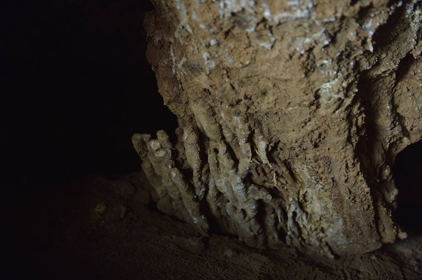 En las playas tropicales de Espuña