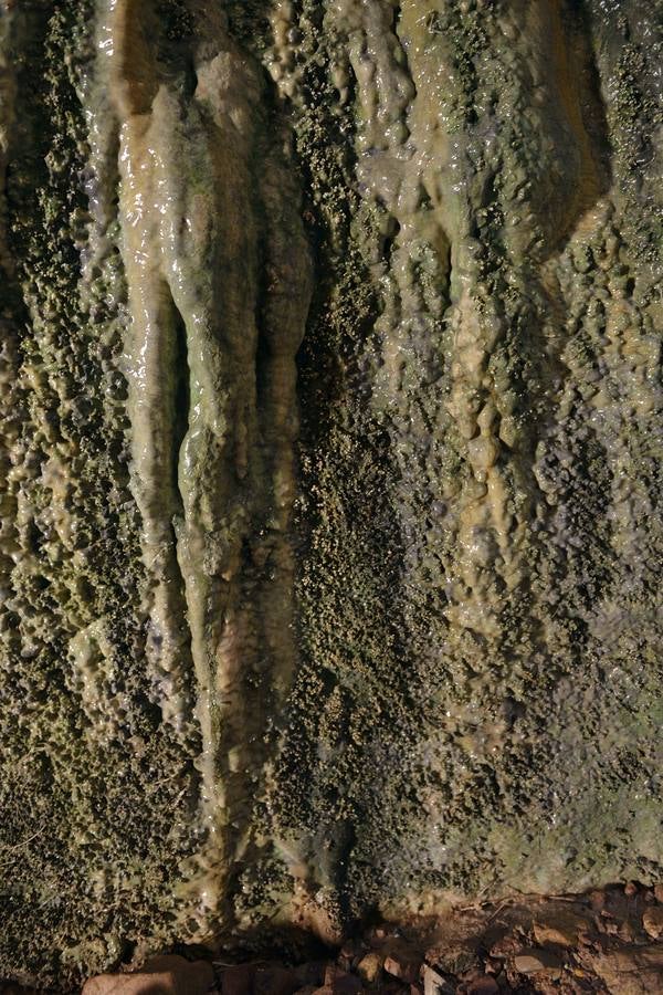 En las playas tropicales de Espuña