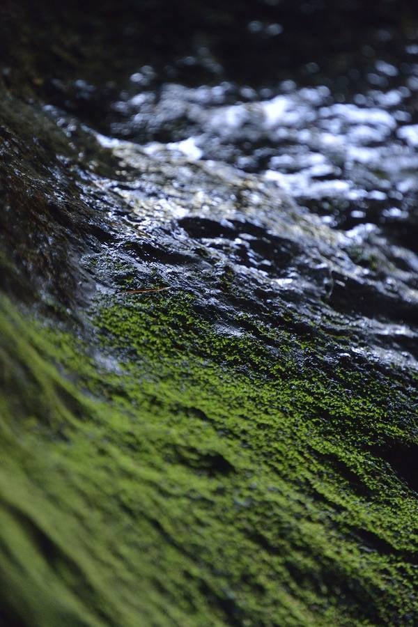 En las playas tropicales de Espuña