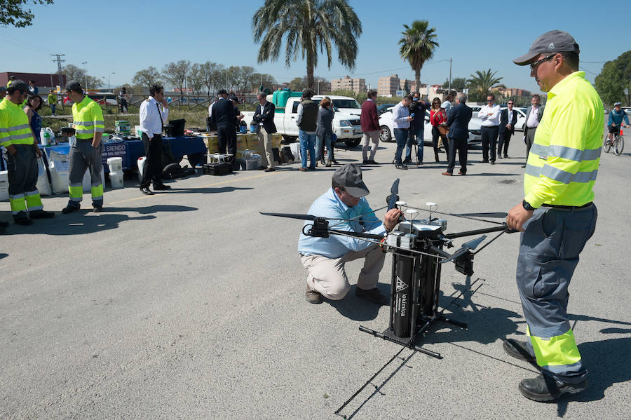 Guerra total contra el mosquito tigre