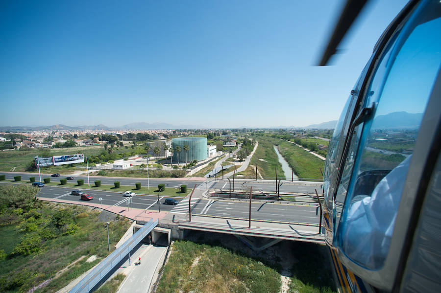 Guerra total contra el mosquito tigre