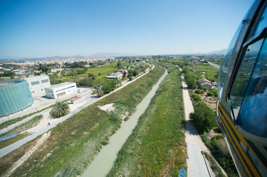 Guerra total contra el mosquito tigre
